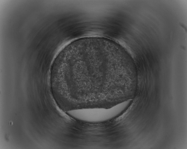 X0000092221421200710121147