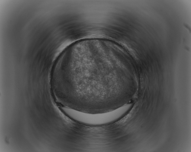 X0000092221422200710121147