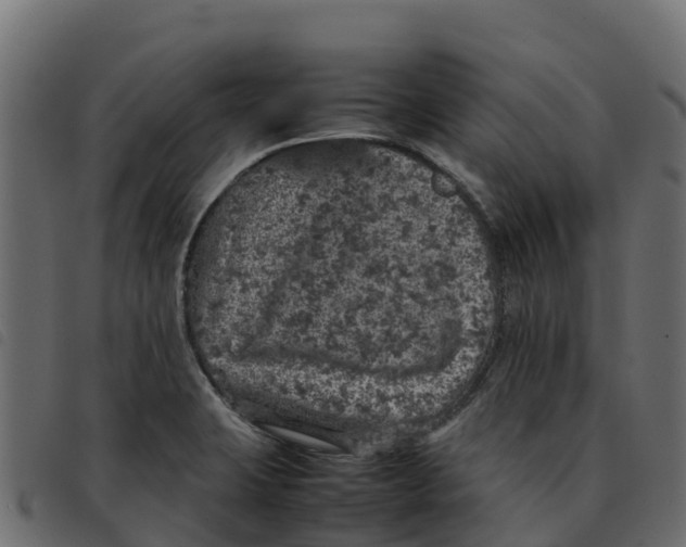 X0000092221423200710121147