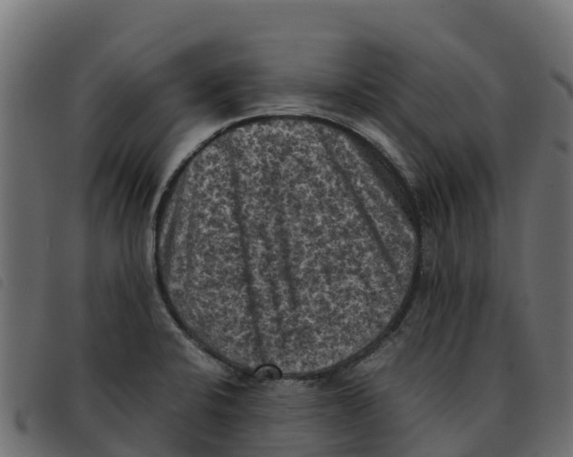 X0000092221424200710121147