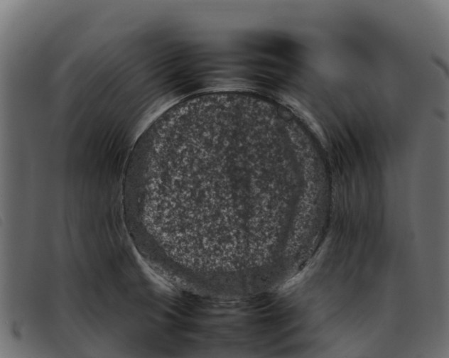 X0000092221425200710121147
