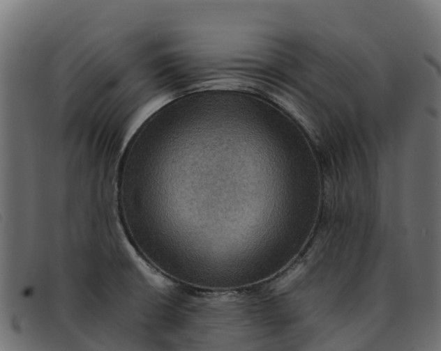 X0000092221426200710121147