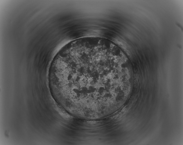X0000092221427200710121147