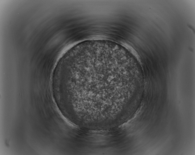 X0000092221429200710121147