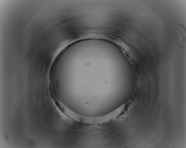X0000092221430200710121147