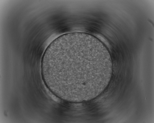 X0000092221431200710121147