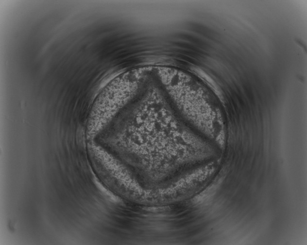 X0000092221433200710121147
