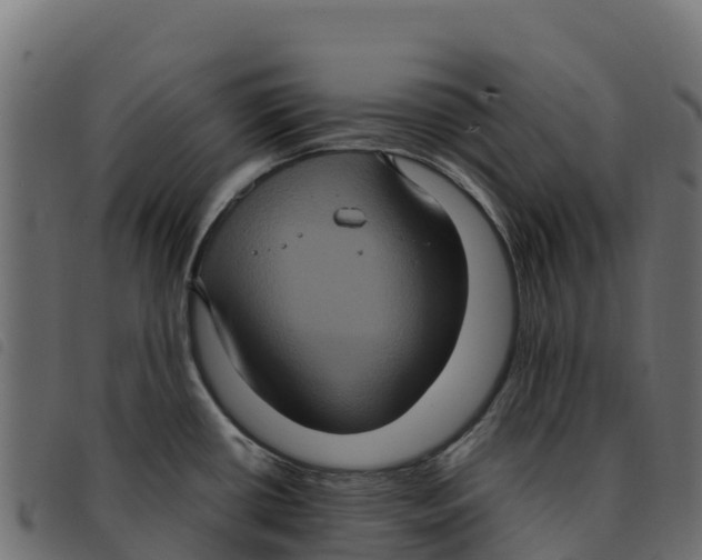 X0000092221434200710121147