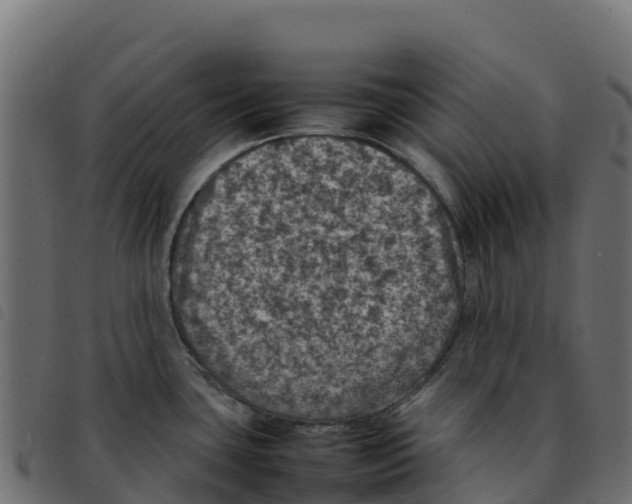 X0000092221435200710121147