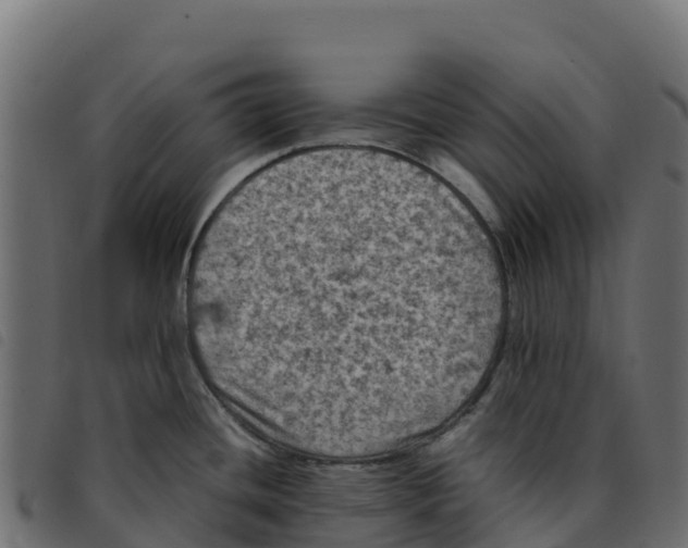 X0000092221436200710121147
