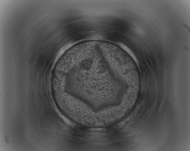 X0000092221437200710121147