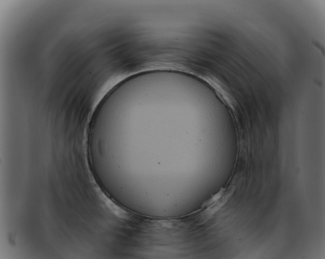 X0000092221438200710121147