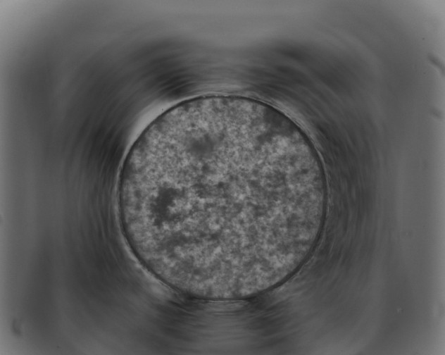 X0000092221440200710121147