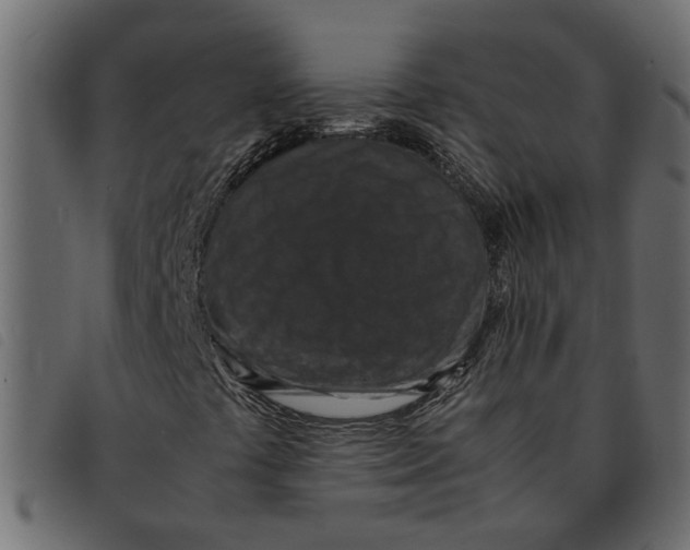 X0000092221441200710121147