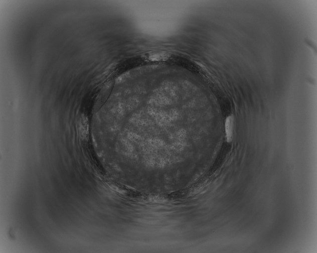 X0000092221443200710121147