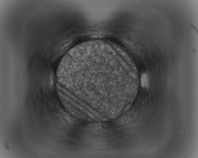 X0000092221444200710121147
