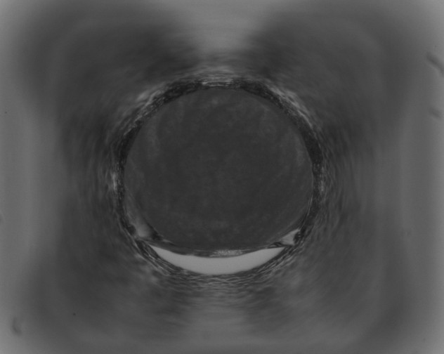 X0000092221445200710121147