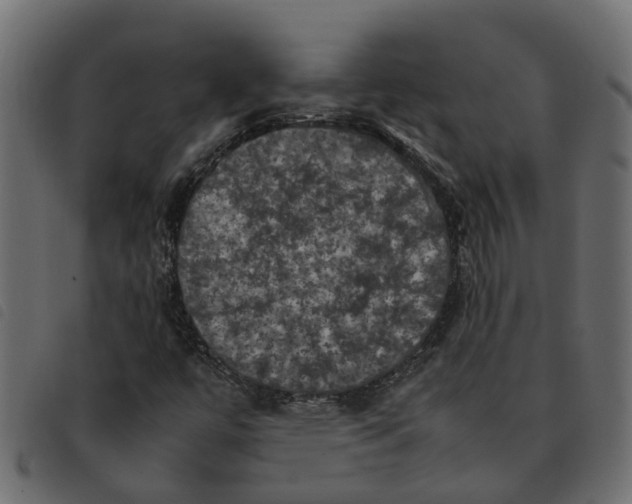 X0000092221447200710121147