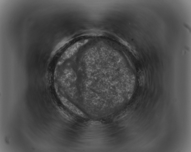 X0000092221448200710121147