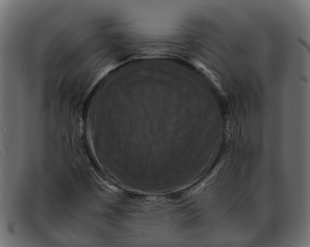 X0000092221449200710121147