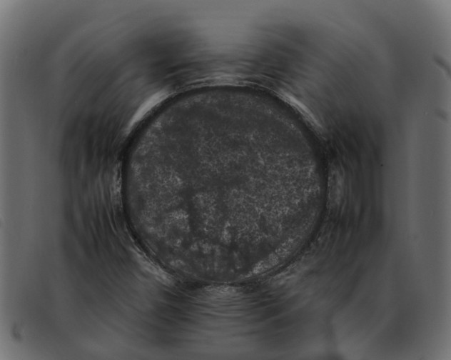 X0000092221450200710121147