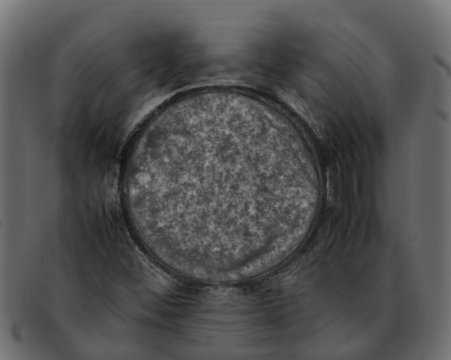 X0000092221452200710121147