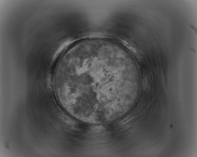 X0000092221454200710121147
