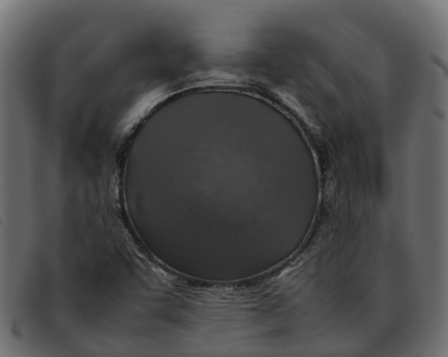 X0000092221455200710121147