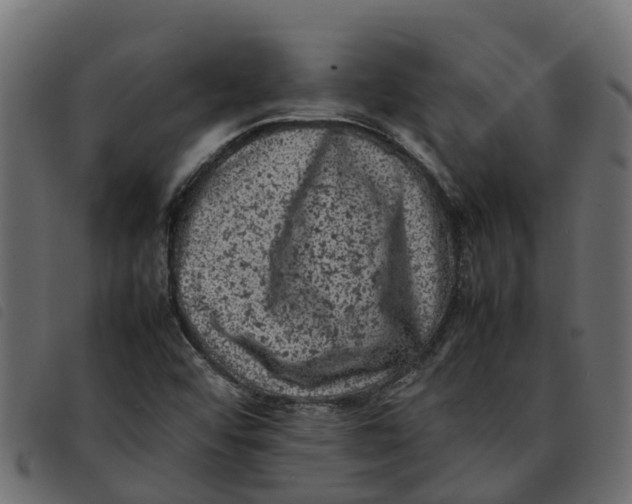 X0000092221456200710121147