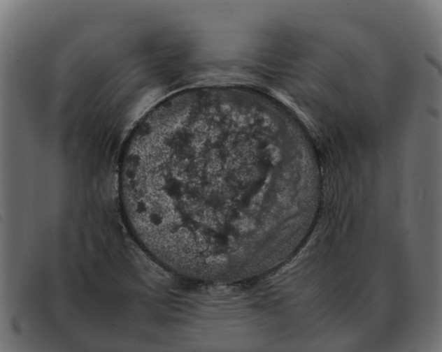 X0000092221459200710121147