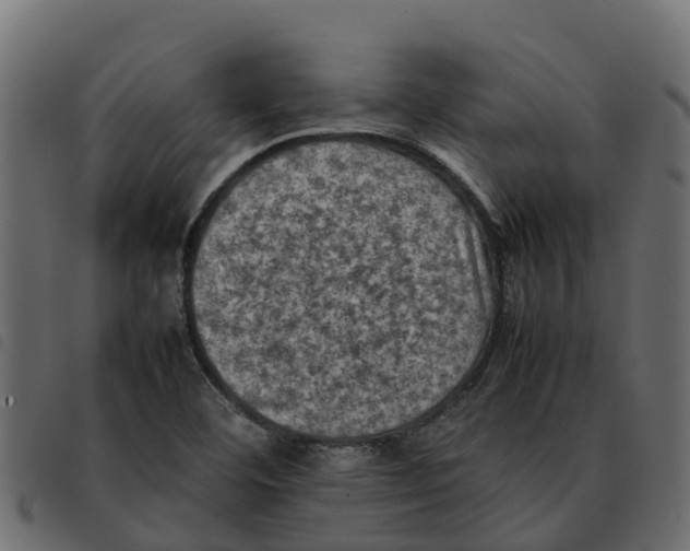 X0000092221460200710121147