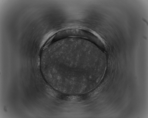 X0000092221461200710121147