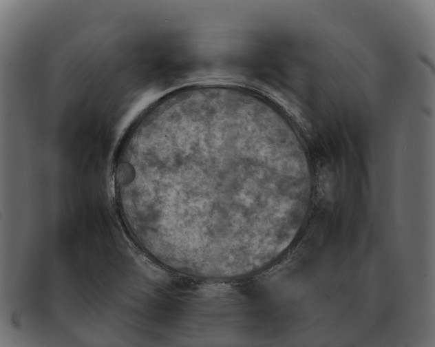 X0000092221462200710121147