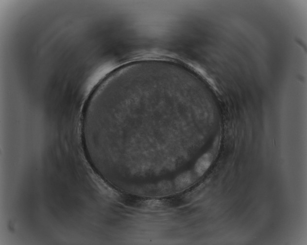 X0000092221463200710121147