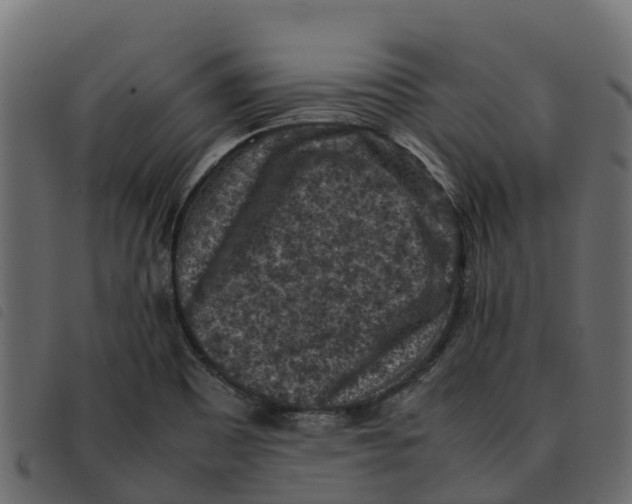 X0000092221465200710121146