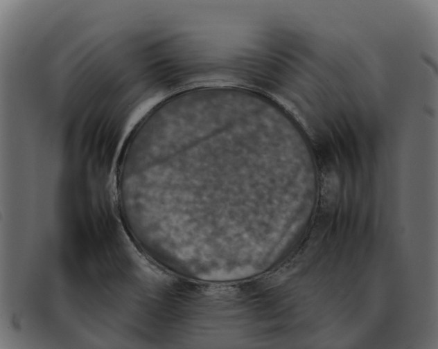 X0000092221466200710121146