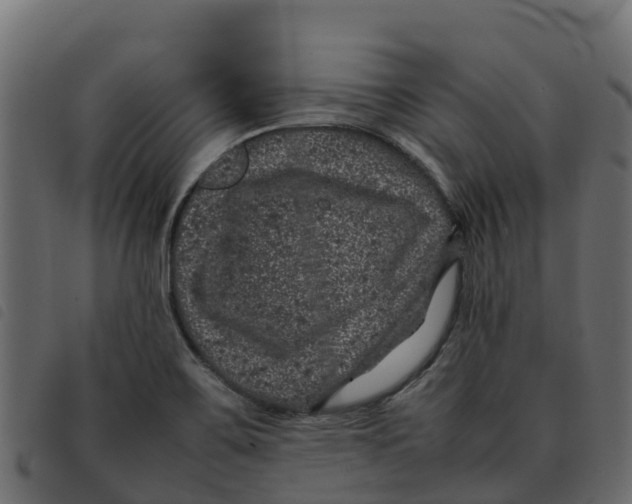 X0000092221467200710121146