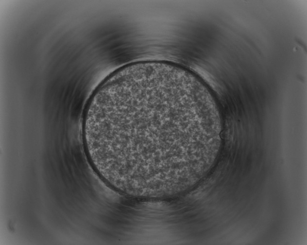 X0000092221468200710121146