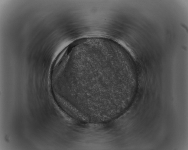 X0000092221469200710121146