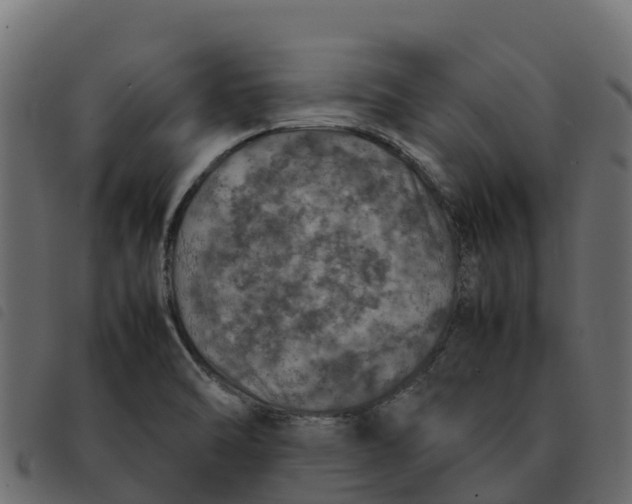 X0000092221470200710121146