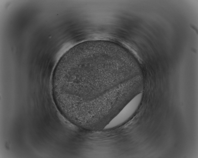 X0000092221471200710121146