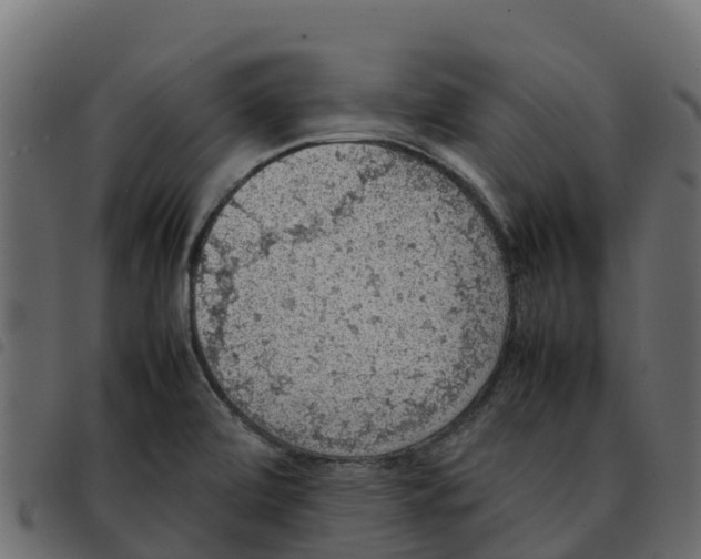 X0000092221472200710121146