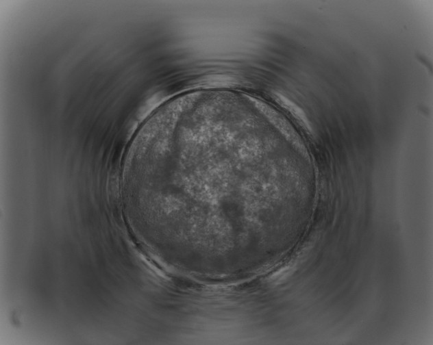 X0000092221473200710121146