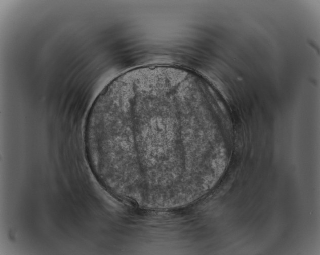 X0000092221475200710121146
