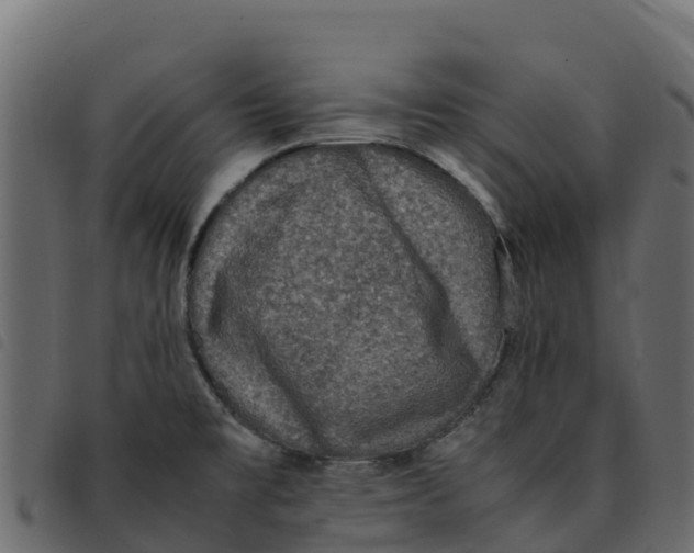 X0000092221477200710121146