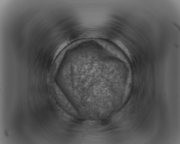 X0000092221481200710121146