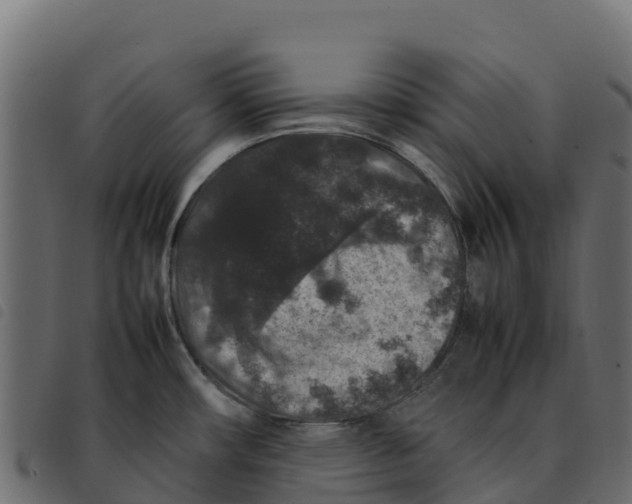 X0000092221482200710121146