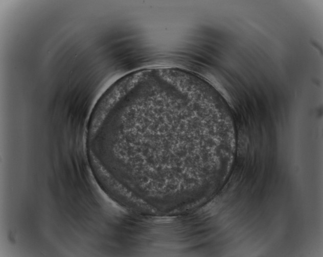X0000092221484200710121146