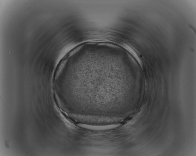 X0000092221485200710121146