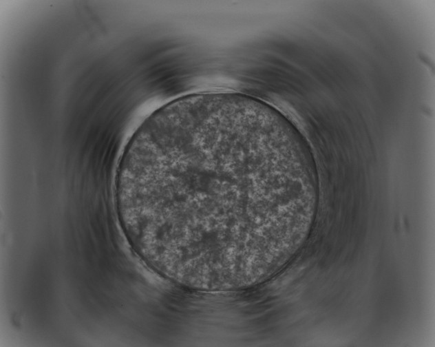 X0000092221488200710121146